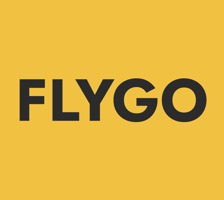 FlyGo logo and colour system